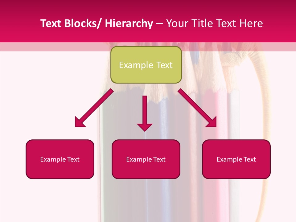 Events Macro Emotive PowerPoint Template