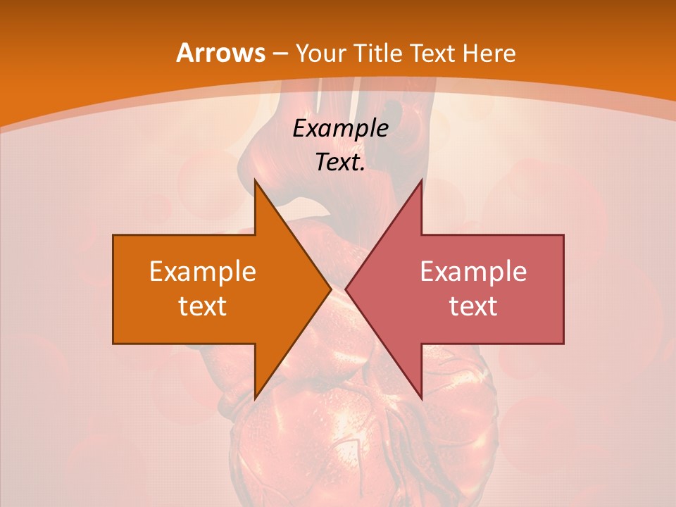 Blood Health Cardiovascular PowerPoint Template