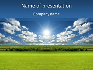 Wheat White Plant PowerPoint Template
