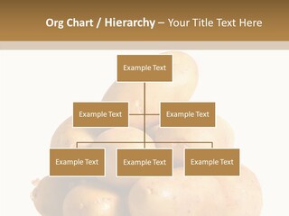 Ingredient Nutrition Raw PowerPoint Template