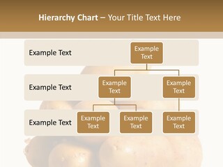 Ingredient Nutrition Raw PowerPoint Template