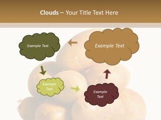 Ingredient Nutrition Raw PowerPoint Template