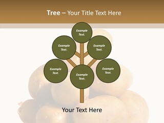 Ingredient Nutrition Raw PowerPoint Template