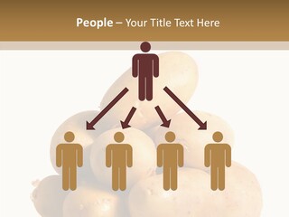 Ingredient Nutrition Raw PowerPoint Template