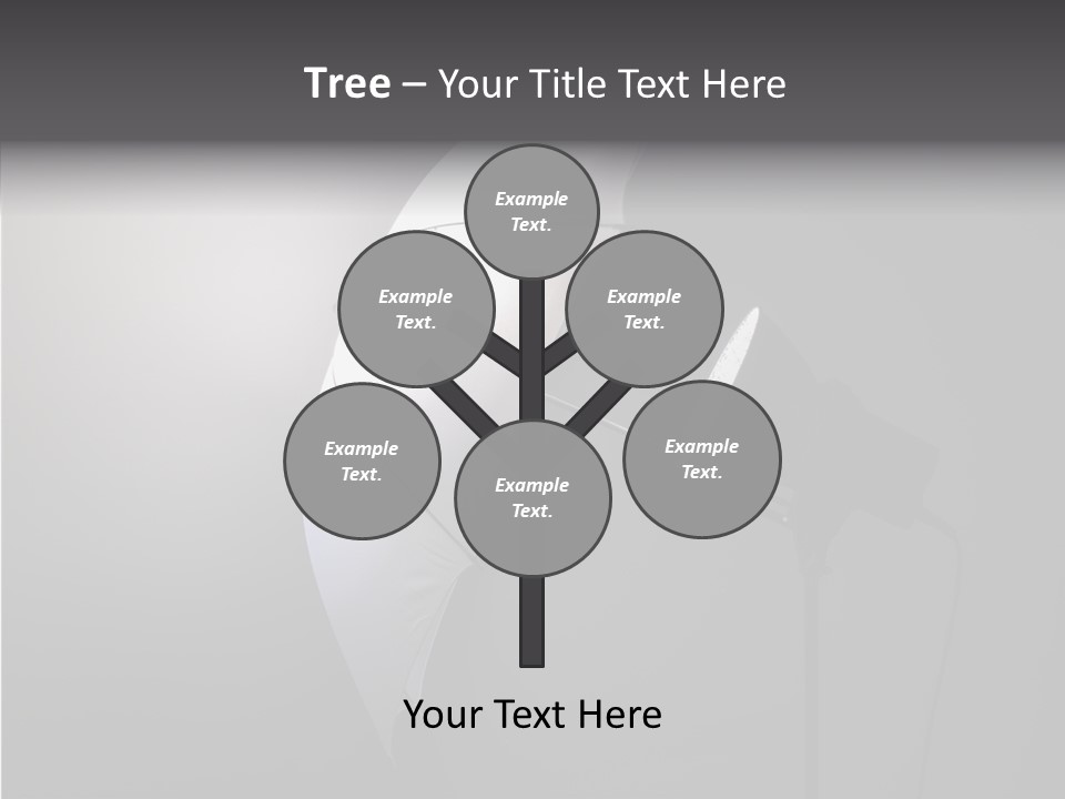 Photo Flash Studio PowerPoint Template