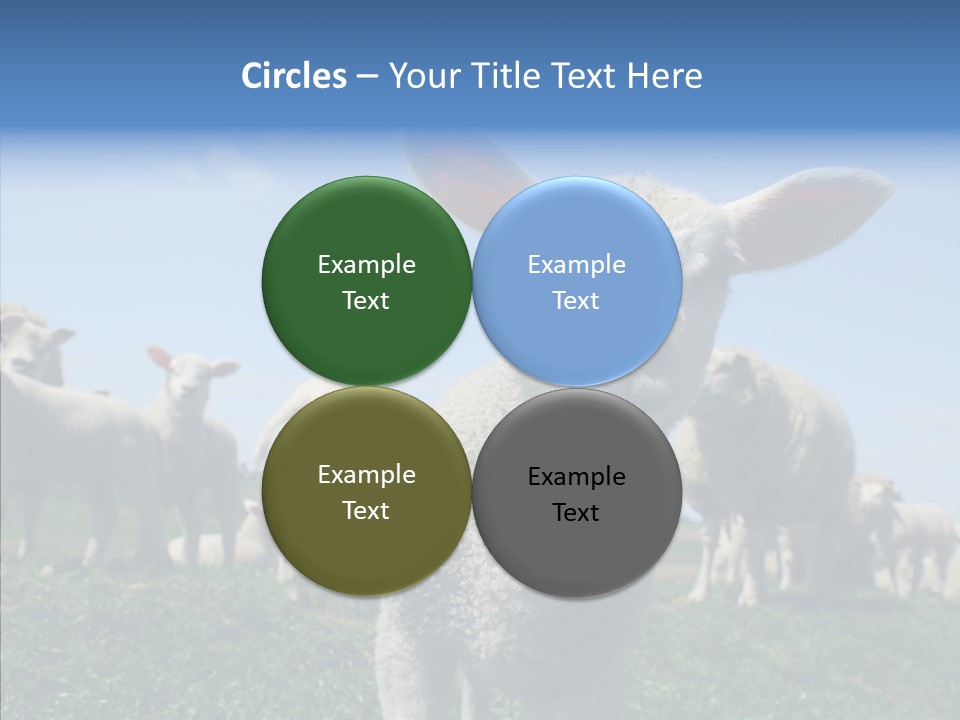 Farming Farm Roast PowerPoint Template