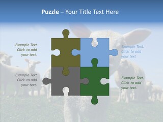 Farming Farm Roast PowerPoint Template