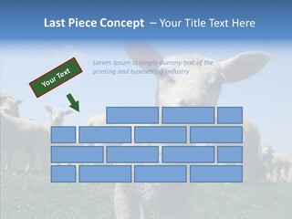 Farming Farm Roast PowerPoint Template