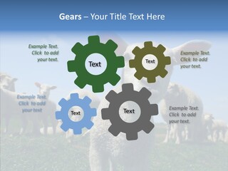 Farming Farm Roast PowerPoint Template