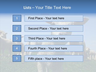 Farming Farm Roast PowerPoint Template