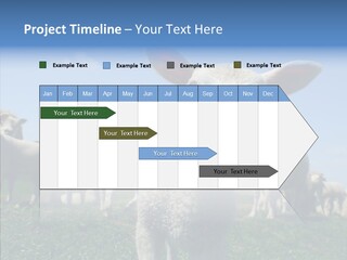 Farming Farm Roast PowerPoint Template