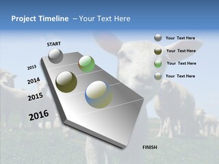 Farming Farm Roast PowerPoint Template