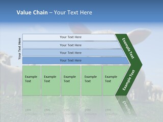 Farming Farm Roast PowerPoint Template