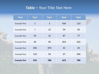 Farming Farm Roast PowerPoint Template