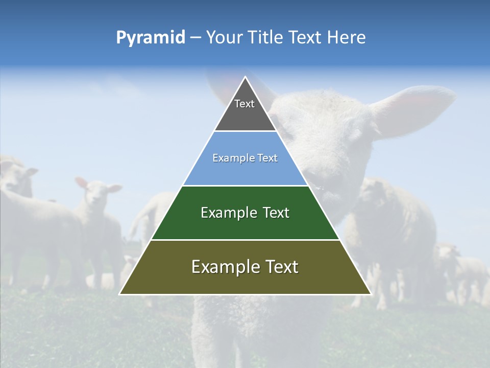Farming Farm Roast PowerPoint Template