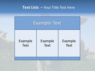 Farming Farm Roast PowerPoint Template