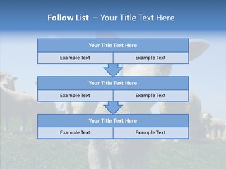 Farming Farm Roast PowerPoint Template