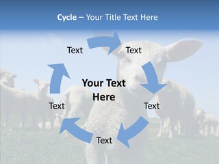 Farming Farm Roast PowerPoint Template