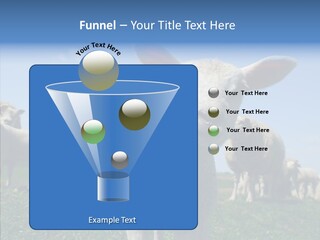 Farming Farm Roast PowerPoint Template