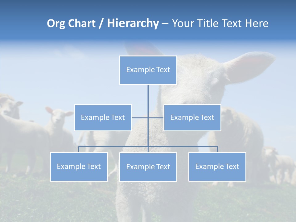 Farming Farm Roast PowerPoint Template