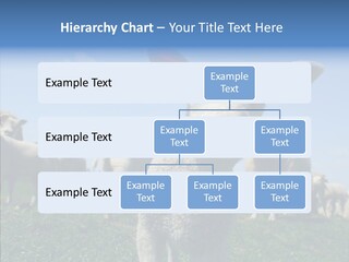 Farming Farm Roast PowerPoint Template