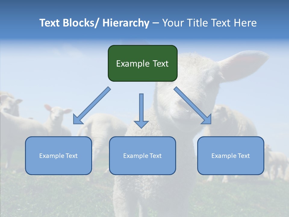 Farming Farm Roast PowerPoint Template