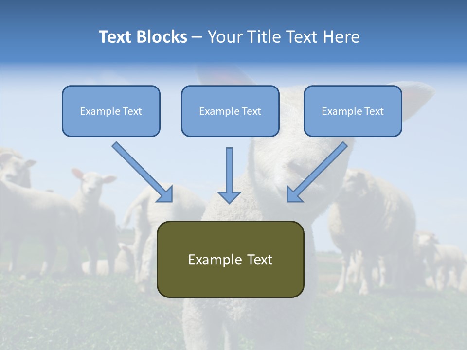 Farming Farm Roast PowerPoint Template