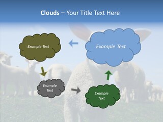 Farming Farm Roast PowerPoint Template