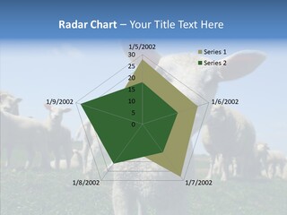 Farming Farm Roast PowerPoint Template