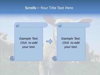 Farming Farm Roast PowerPoint Template