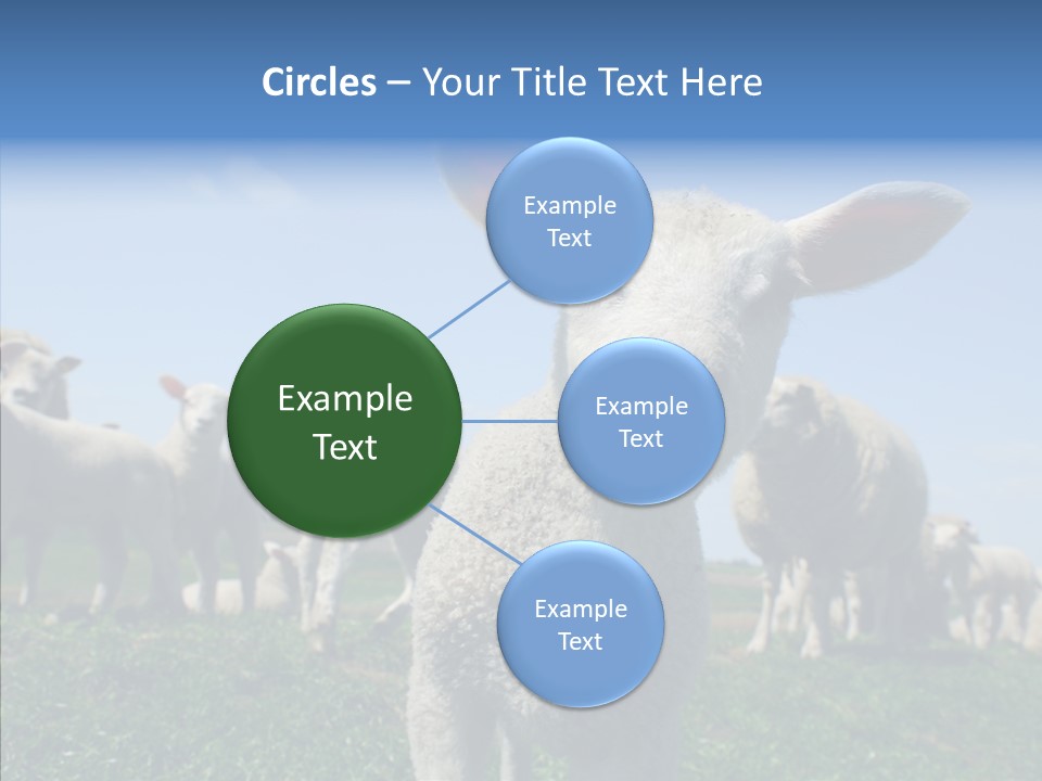 Farming Farm Roast PowerPoint Template