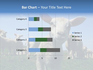 Farming Farm Roast PowerPoint Template
