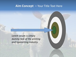 Farming Farm Roast PowerPoint Template