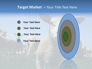 Farming Farm Roast PowerPoint Template