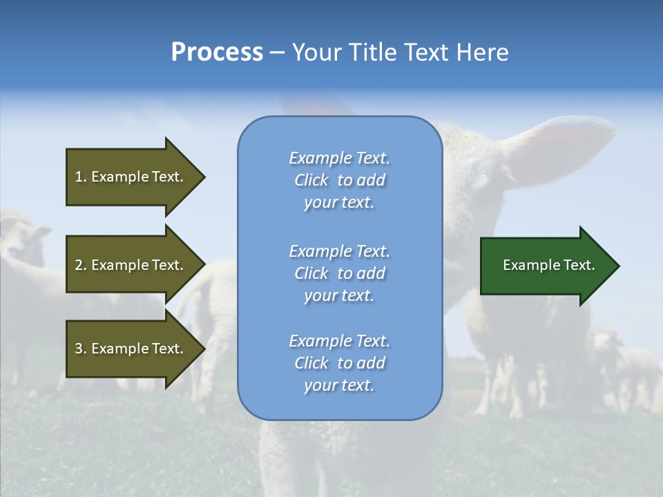 Farming Farm Roast PowerPoint Template