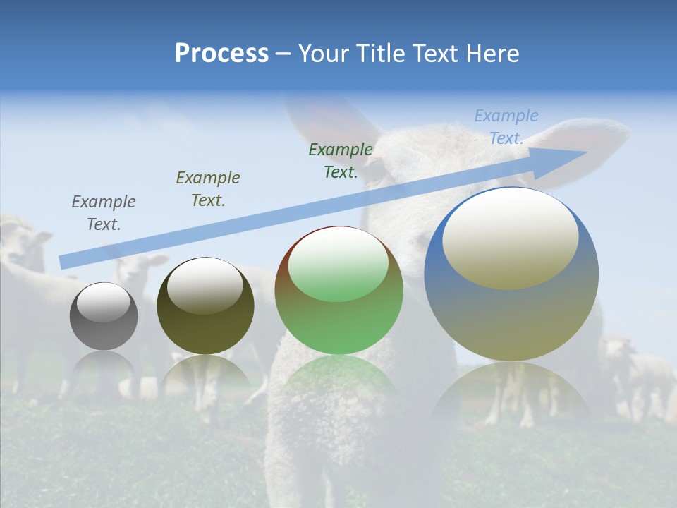 Farming Farm Roast PowerPoint Template