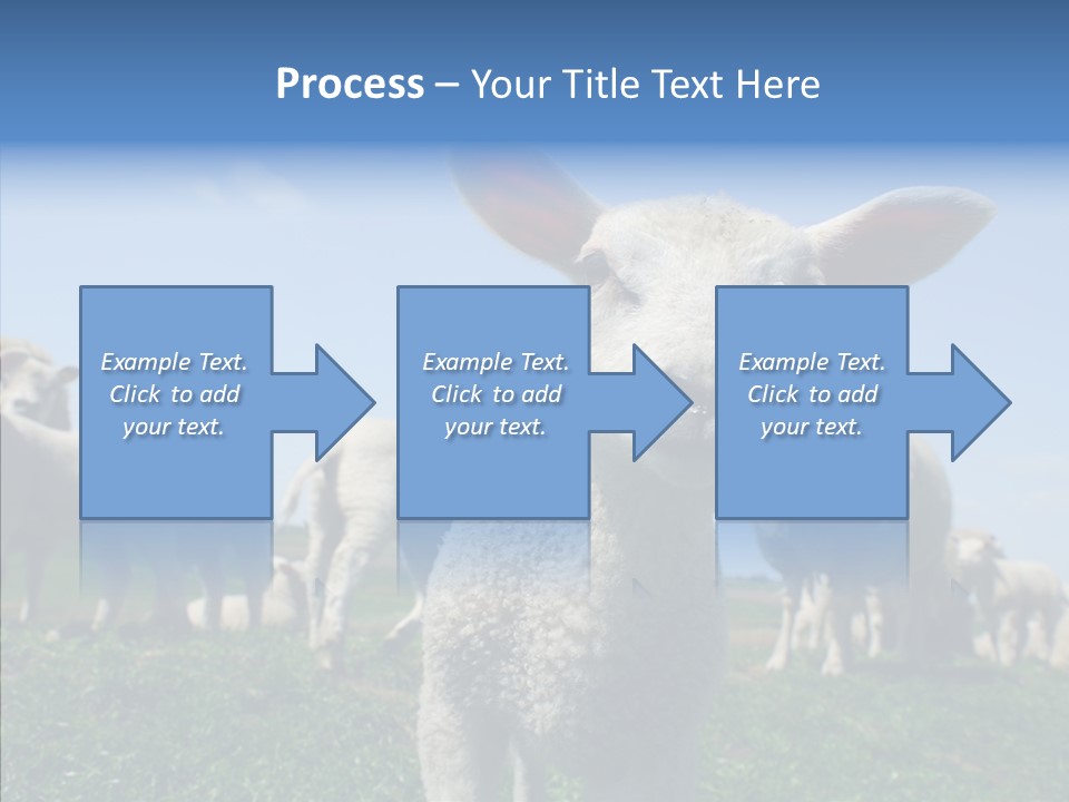Farming Farm Roast PowerPoint Template