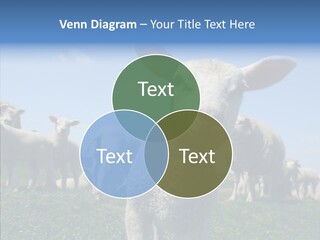 Farming Farm Roast PowerPoint Template