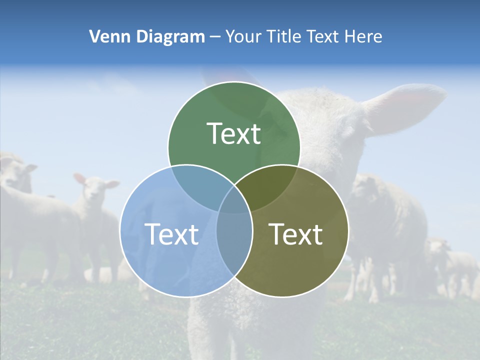 Farming Farm Roast PowerPoint Template