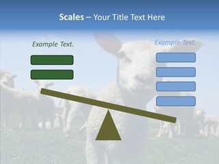 Farming Farm Roast PowerPoint Template