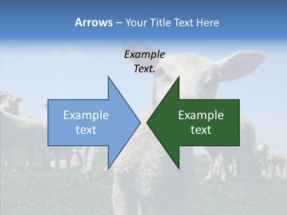 Farming Farm Roast PowerPoint Template