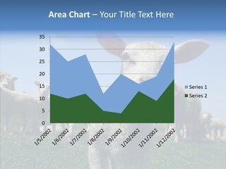 Farming Farm Roast PowerPoint Template