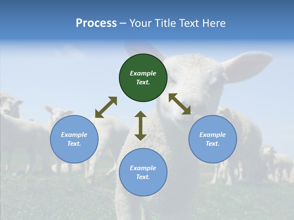 Farming Farm Roast PowerPoint Template