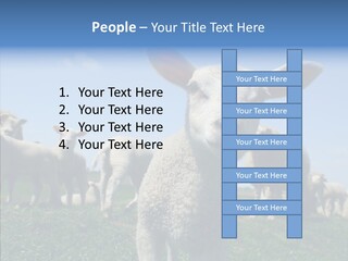 Farming Farm Roast PowerPoint Template
