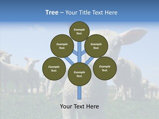 Farming Farm Roast PowerPoint Template