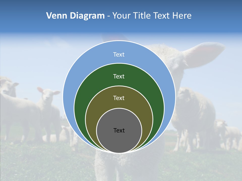 Farming Farm Roast PowerPoint Template