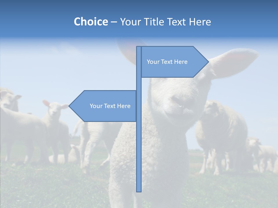 Farming Farm Roast PowerPoint Template