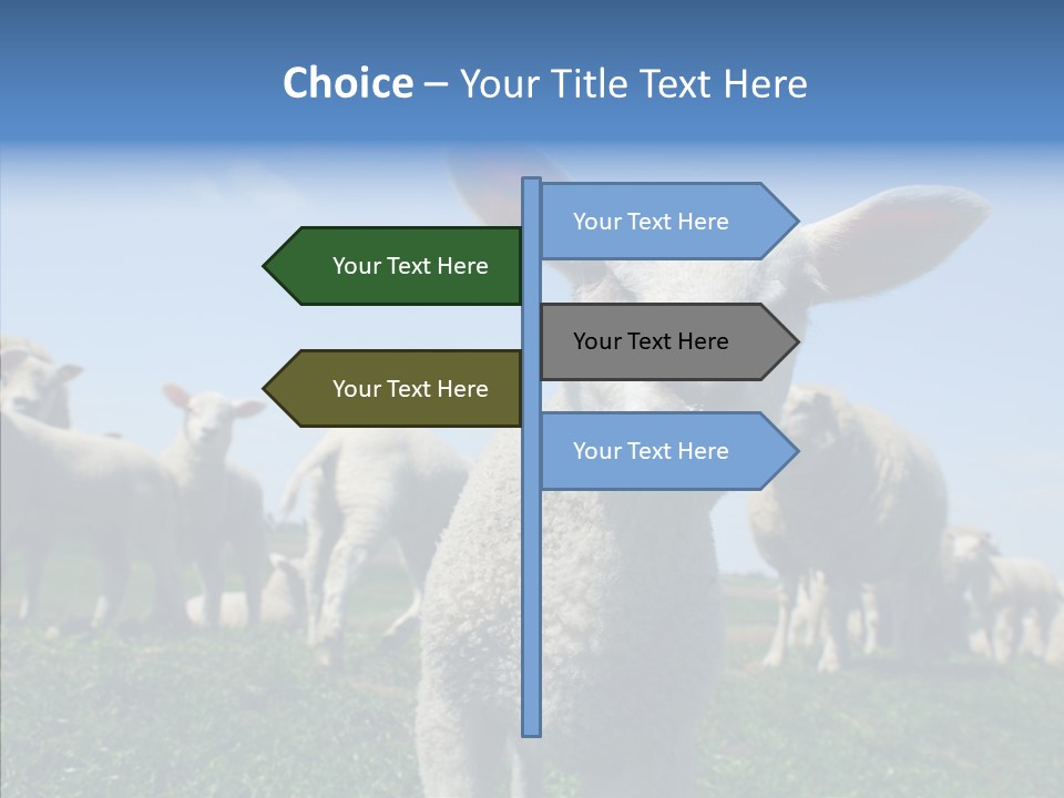 Farming Farm Roast PowerPoint Template