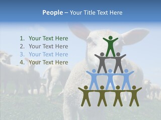 Farming Farm Roast PowerPoint Template