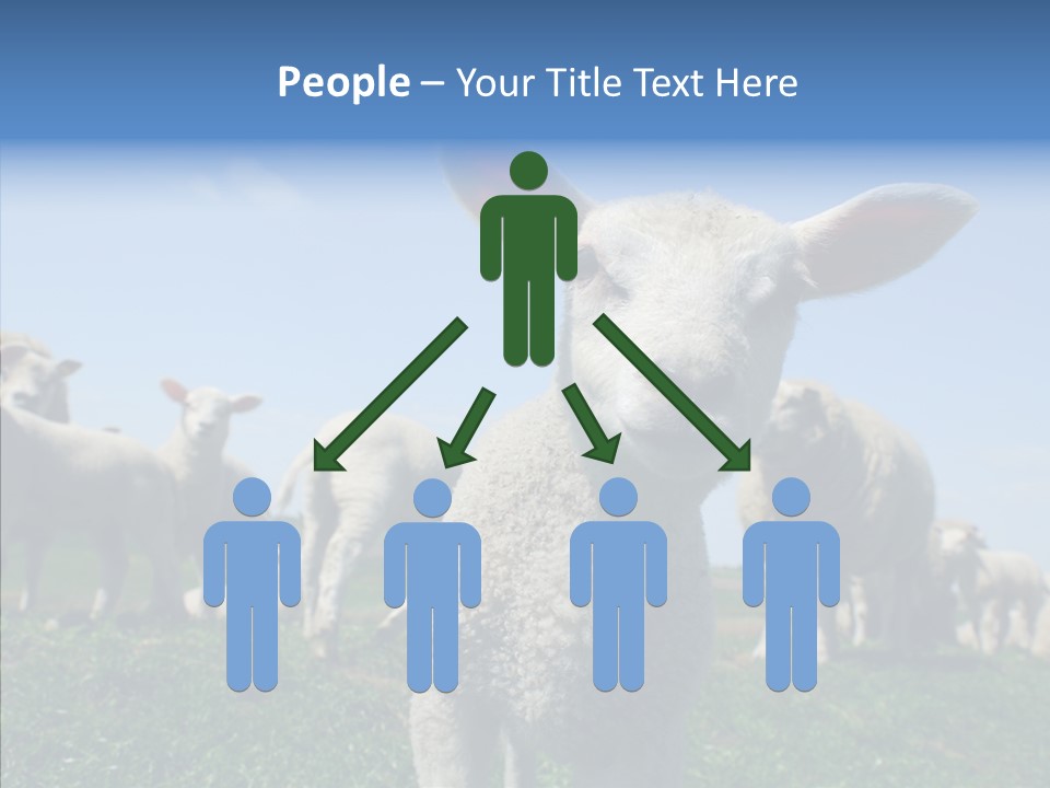 Farming Farm Roast PowerPoint Template